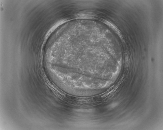 X0000085731419200704131607