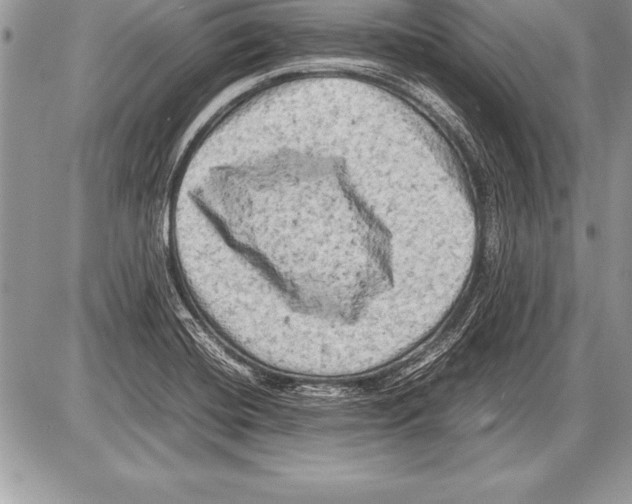 X0000085731420200704131607