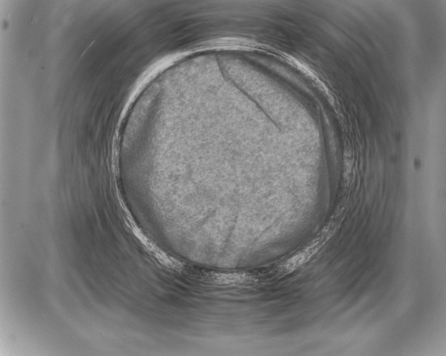 X0000085731421200704131608