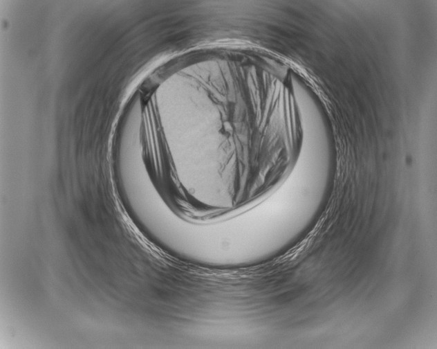 X0000085731422200704131608