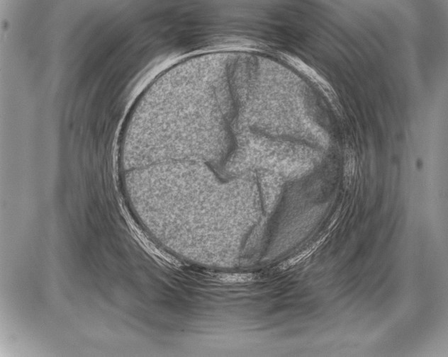 X0000085731423200704131608