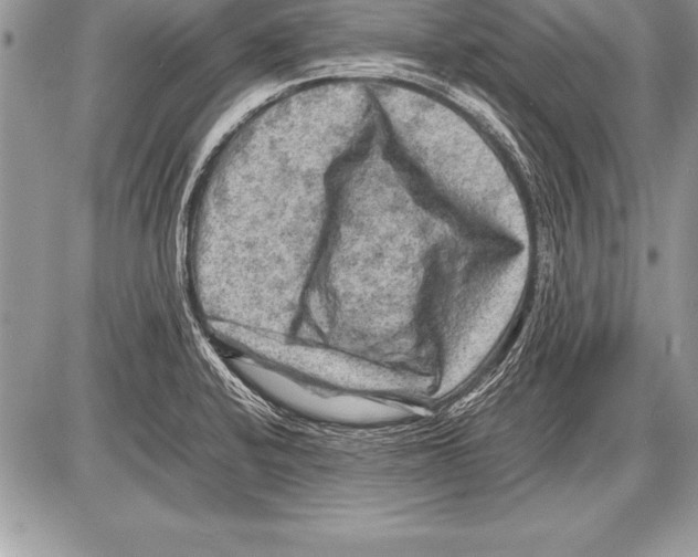 X0000085731424200704131608