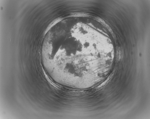 X0000085731425200704131608