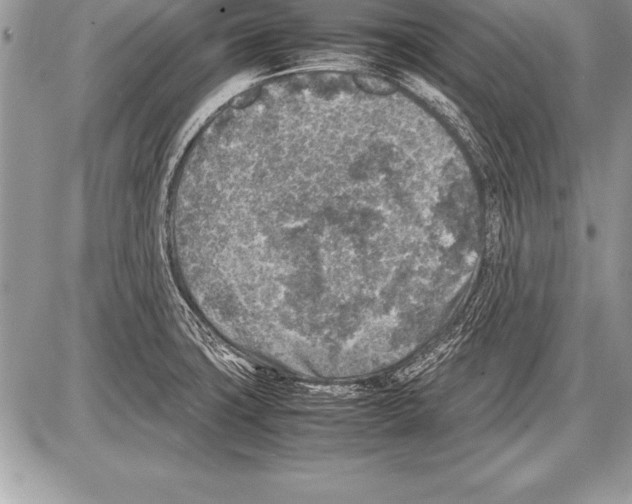 X0000085731427200704131608