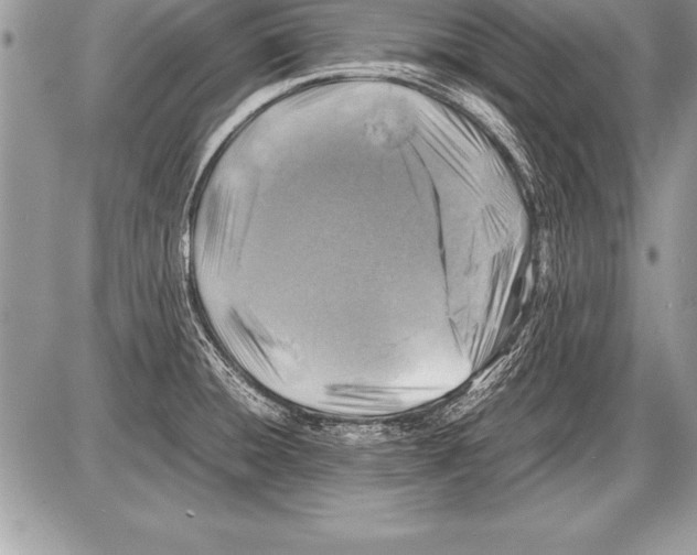 X0000085731428200704131608