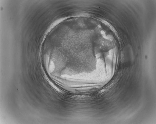 X0000085731429200704131608