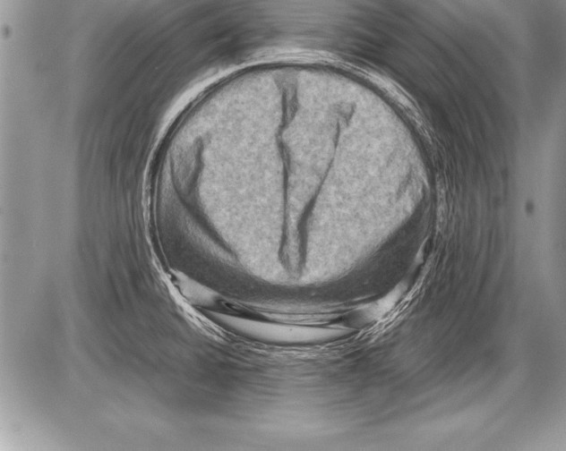 X0000085731430200704131608