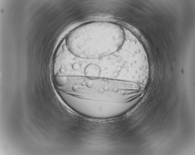 X0000085731432200704131608