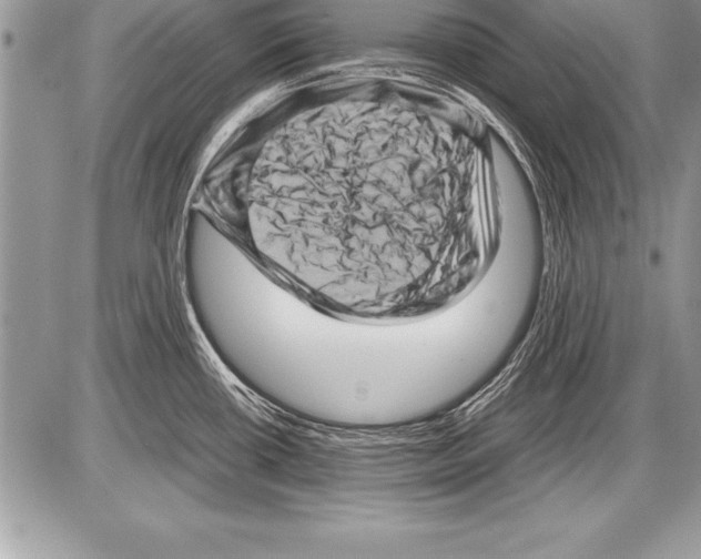 X0000085731434200704131608