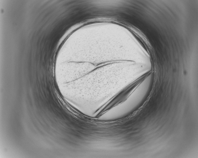 X0000085731436200704131608