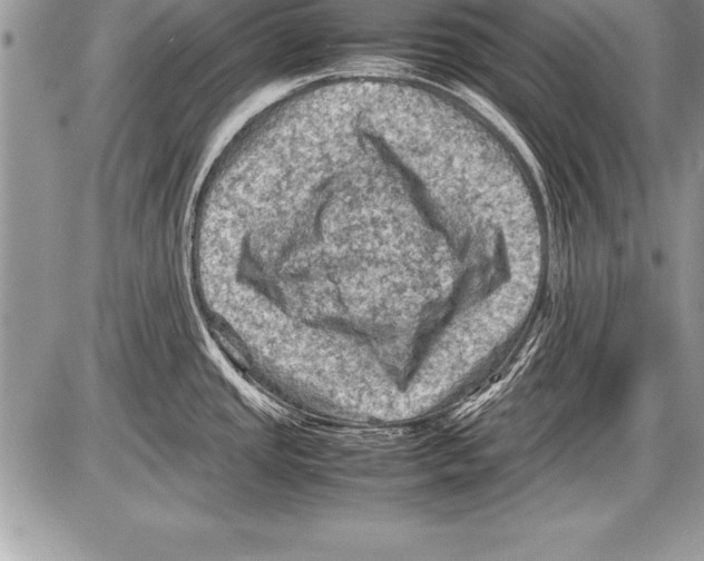 X0000085731437200704131608