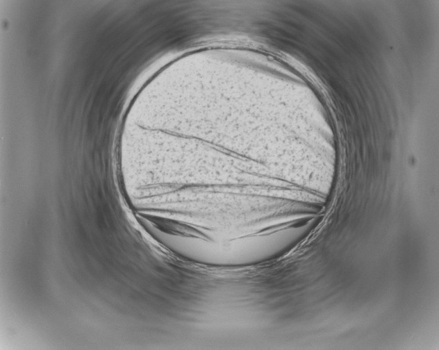 X0000085731440200704131608