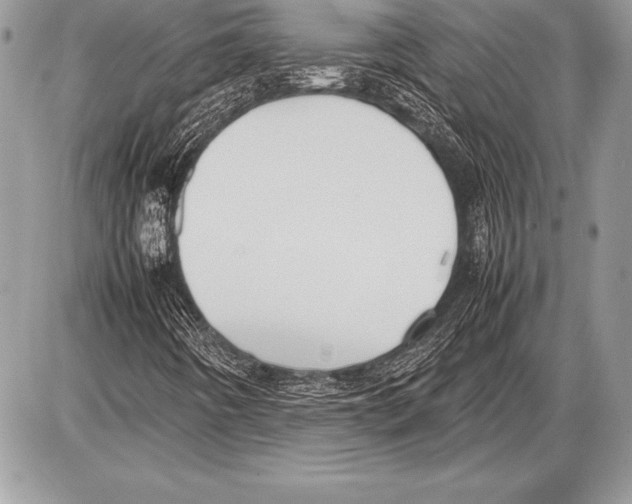 X0000085731442200704131607