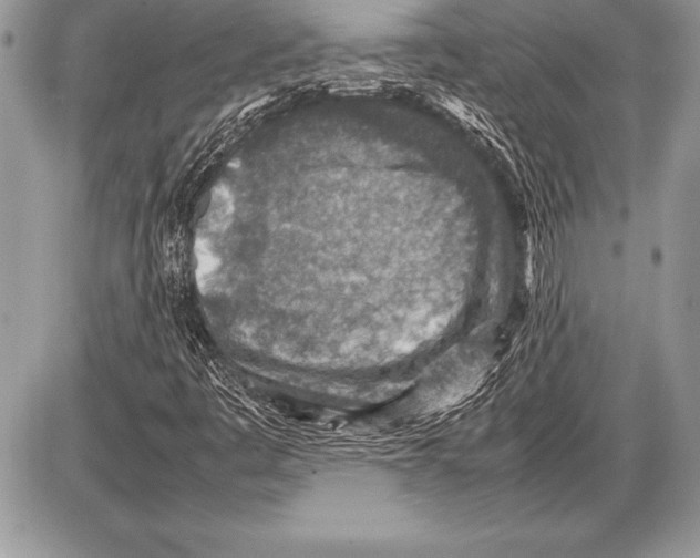 X0000085731445200704131607