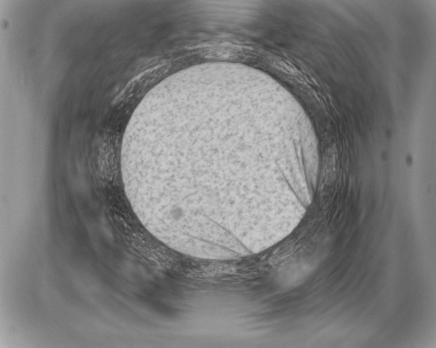 X0000085731446200704131607