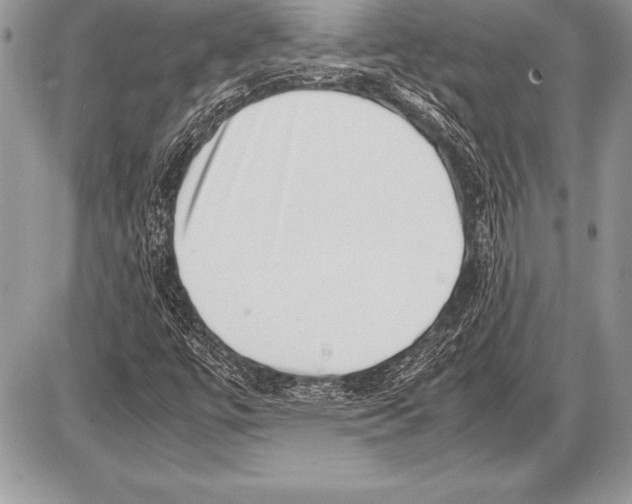 X0000085731447200704131607