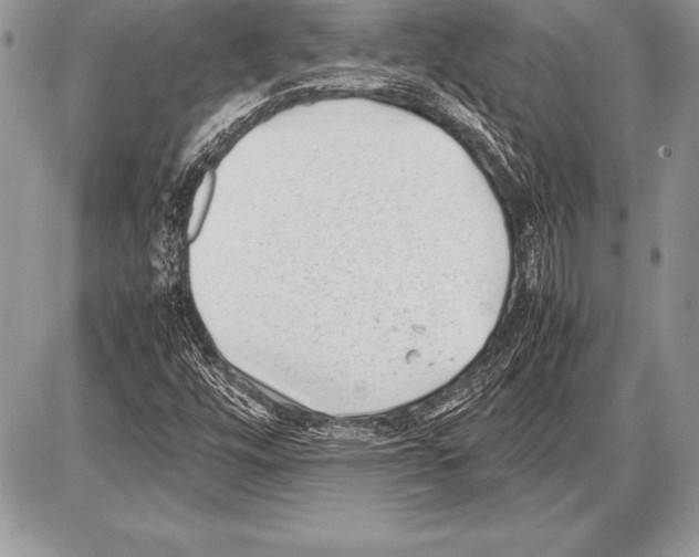 X0000085731448200704131607