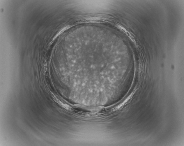 X0000085731449200704131607