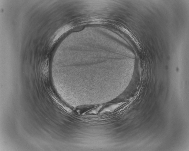 X0000085731450200704131607