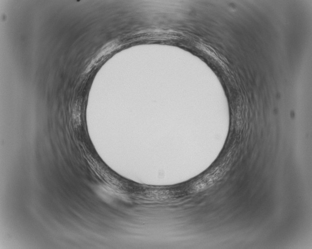 X0000085731451200704131607