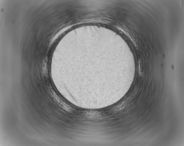 X0000085731452200704131607