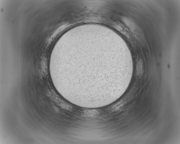 X0000085731454200704131607