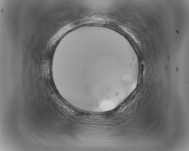 X0000085731455200704131607