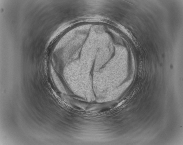 X0000085731456200704131607