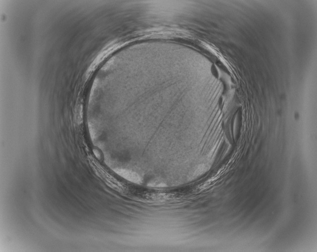 X0000085731459200704131607