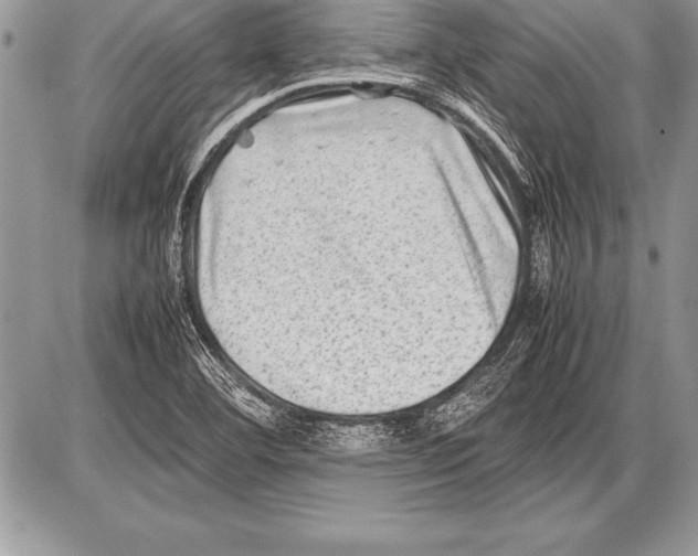 X0000085731460200704131607