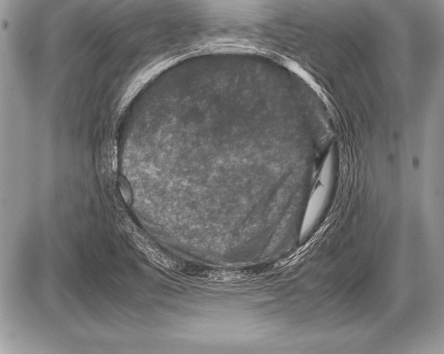 X0000085731461200704131607