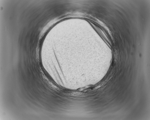 X0000085731464200704131607