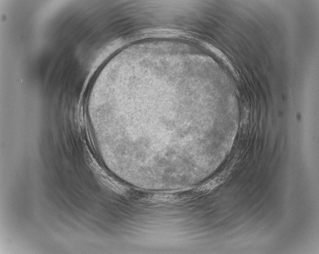 X0000085731466200704131607