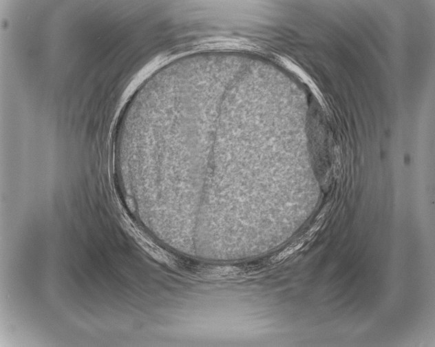 X0000085731467200704131607