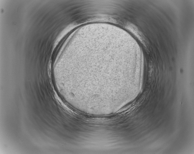 X0000085731468200704131607