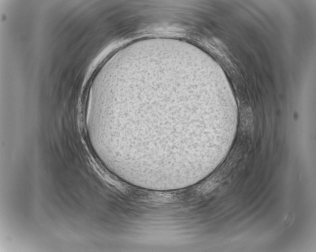 X0000085731470200704131607