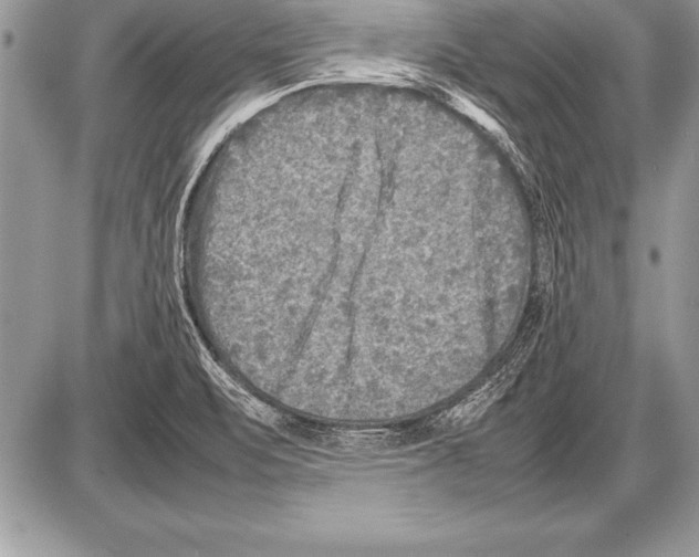 X0000085731471200704131607