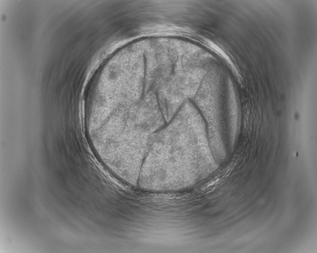 X0000085731472200704131607