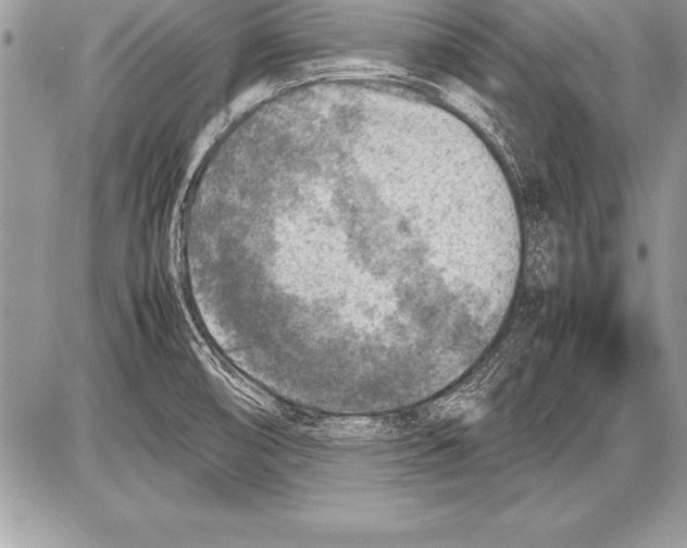 X0000085731474200704131606