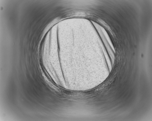 X0000085731475200704131606