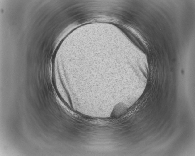 X0000085731476200704131606