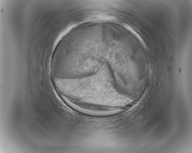 X0000085731477200704131606