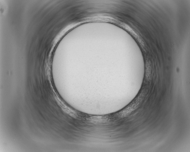 X0000085731478200704131606