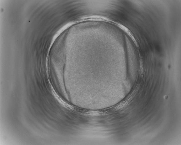 X0000085731482200704131606