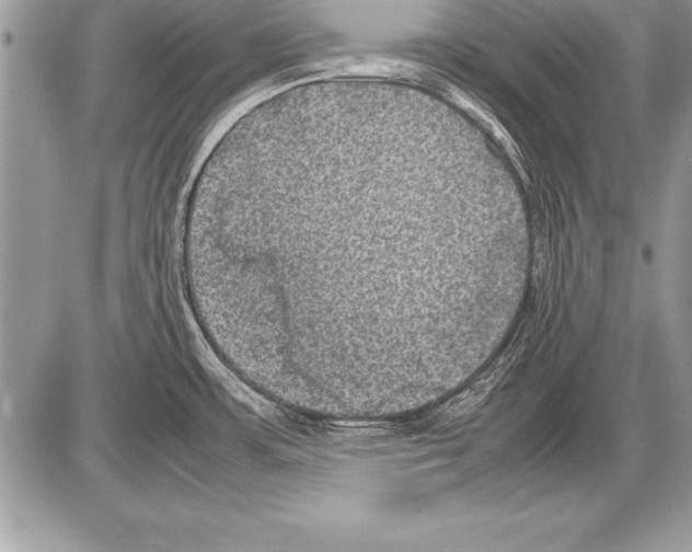 X0000085731483200704131606