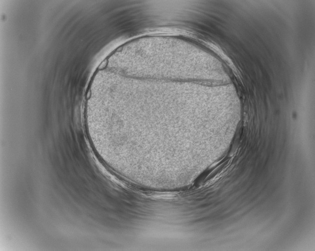 X0000085731484200704131606