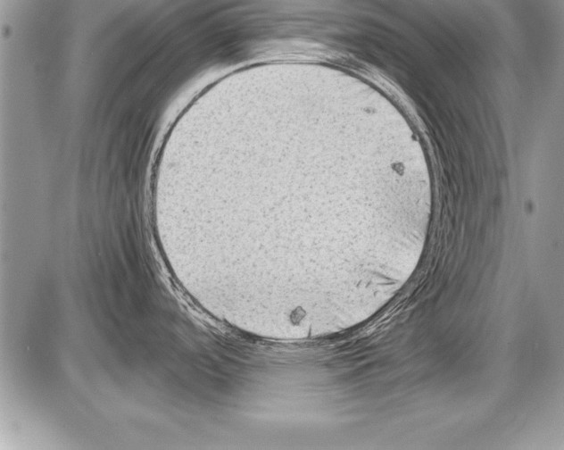 X0000085731488200704131606