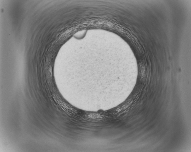 X0000085731489200704131605