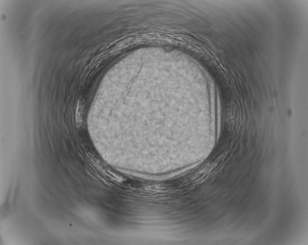 X0000085731490200704131605