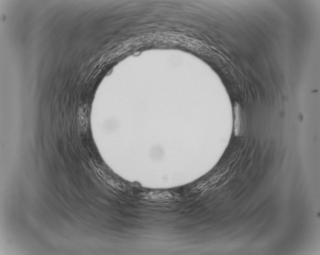 X0000085731491200704131605